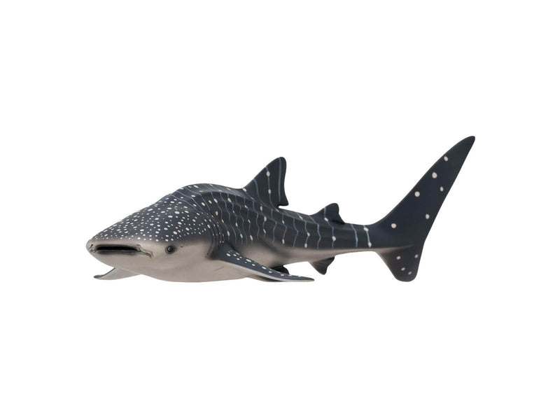 Mojo - Sealife Whale Shark - 381038