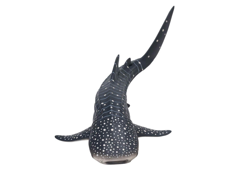 Mojo - Sealife Whale Shark - 381038
