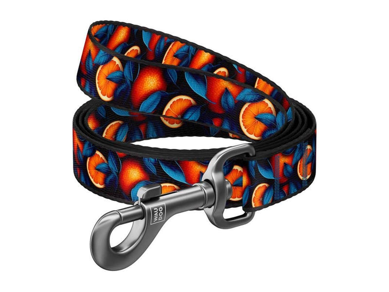 Waudog Nylon dog leash pattern ''Oranges'' length 122 cm