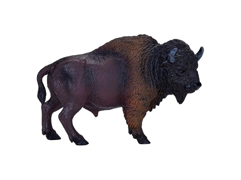 Mojo - Wildlife American Bison - 381076