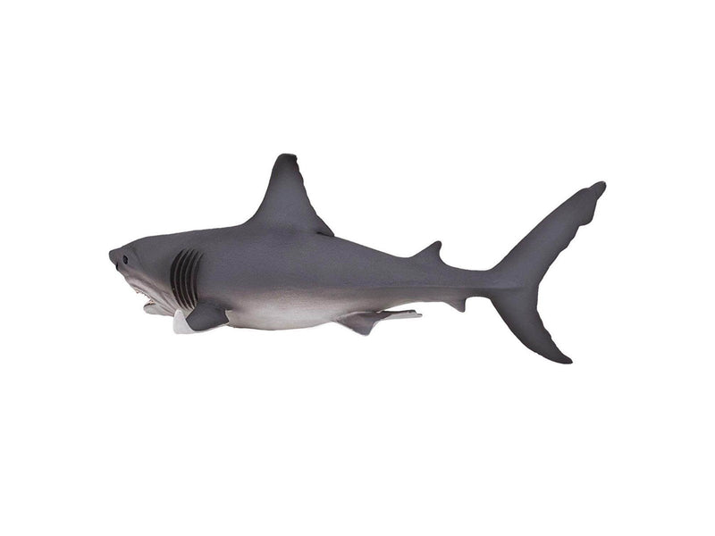 Mojo - Sealife White Shark Large