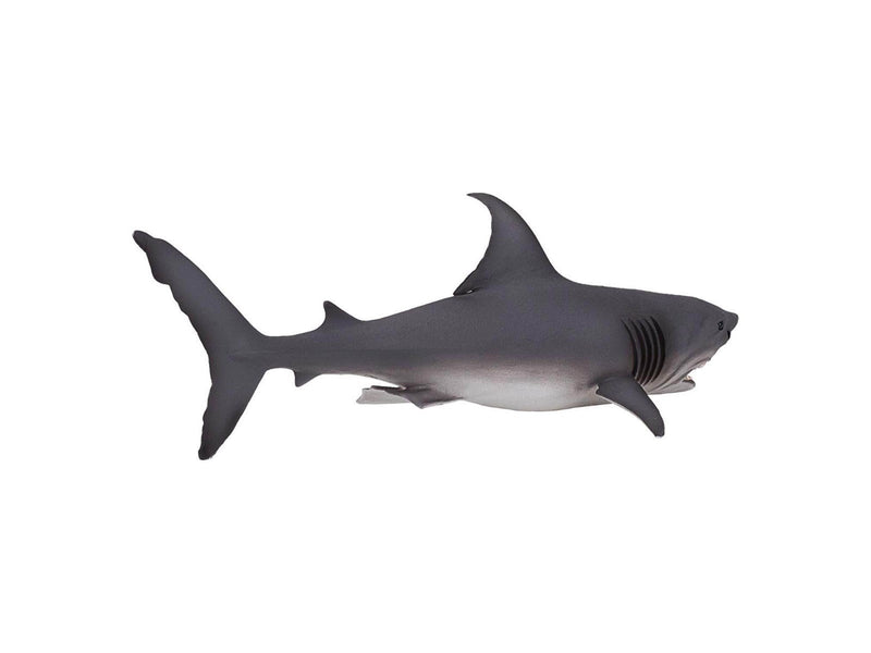 Mojo - Sealife White Shark Large