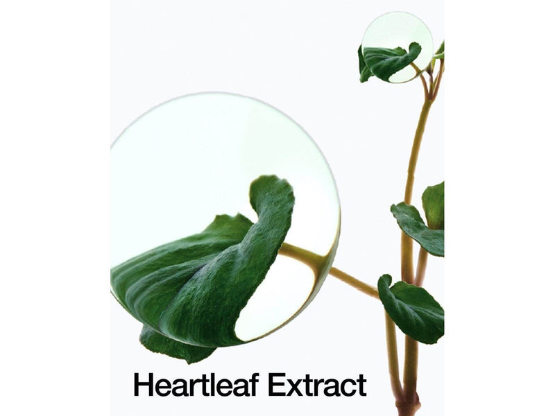 Anua - Heartleaf 70% Intense Calming Cream 50 ml