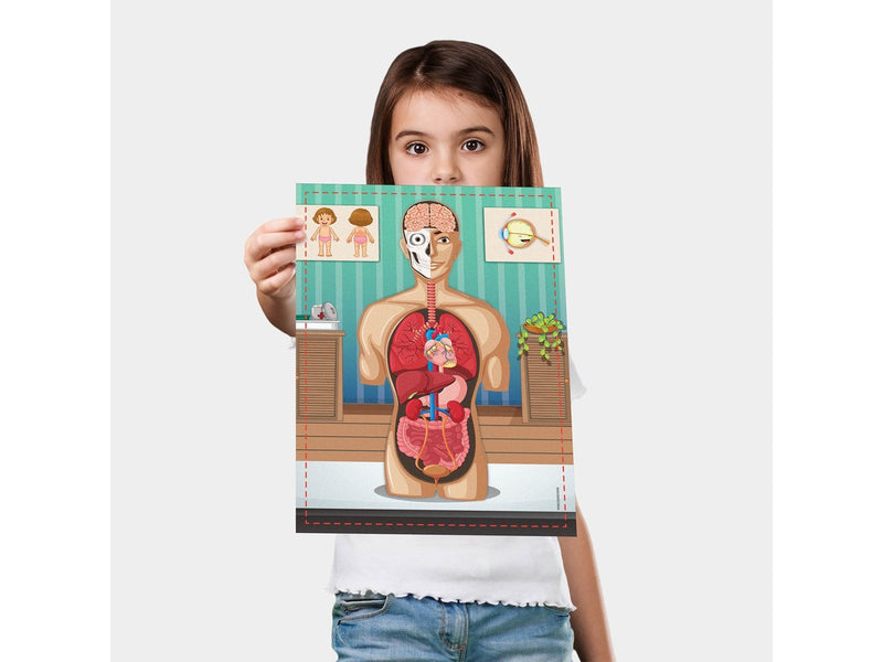 Science4you Human Body