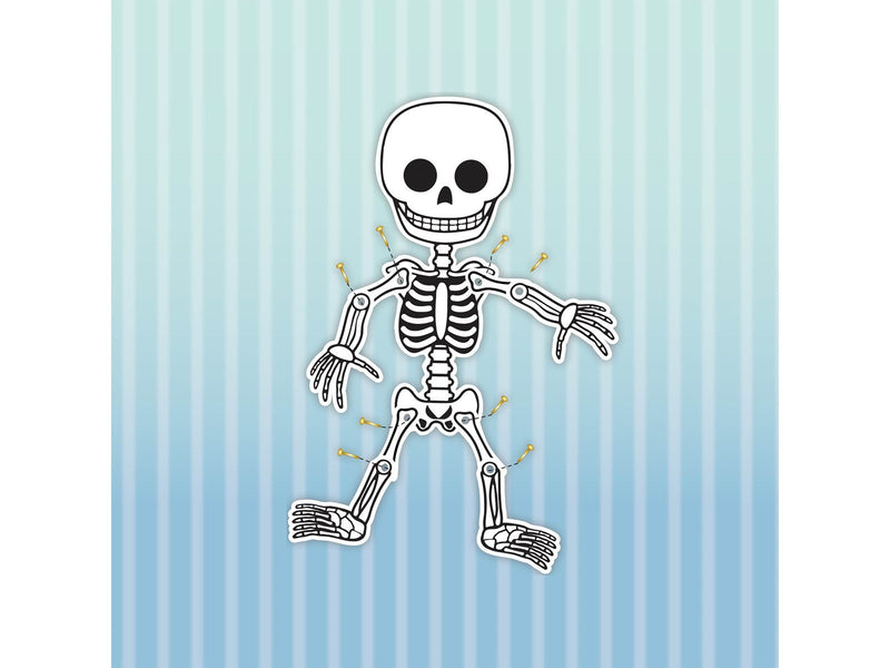 Science4you Human Body