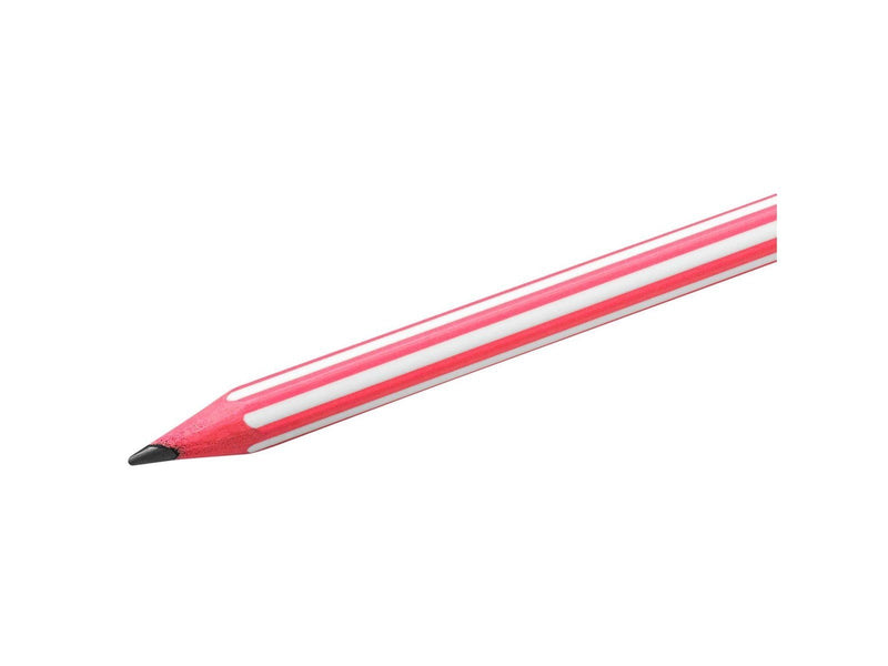 BIC - Evolution Pencils with Eraser 8pcs.