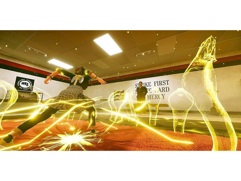 Cobra Kai 2: Dojos Rising (Code in a Box) - Nintendo Switch - Fighting - PEGI 12