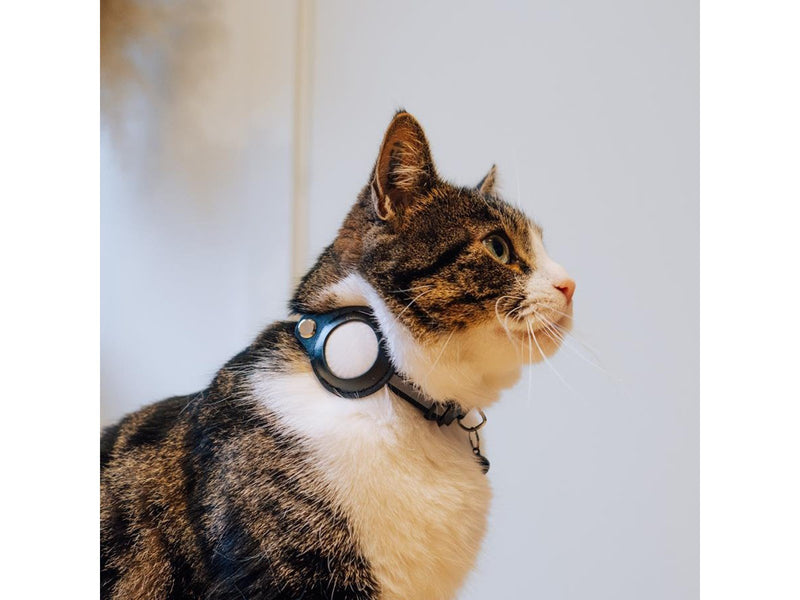Lippa Collar for Cats and Dogs – For AirTag and Smart Finder - 22-32 cm