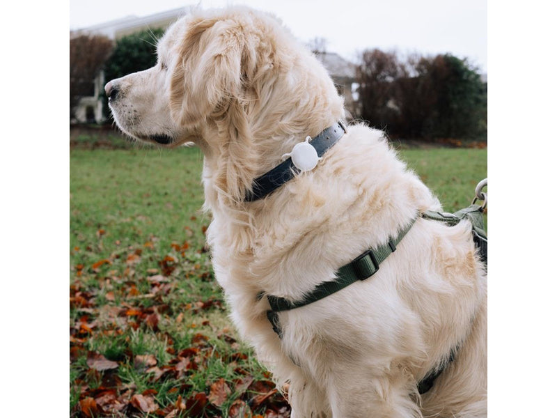 Lippa Collar Holder for AirTag and Smart Finder - Red