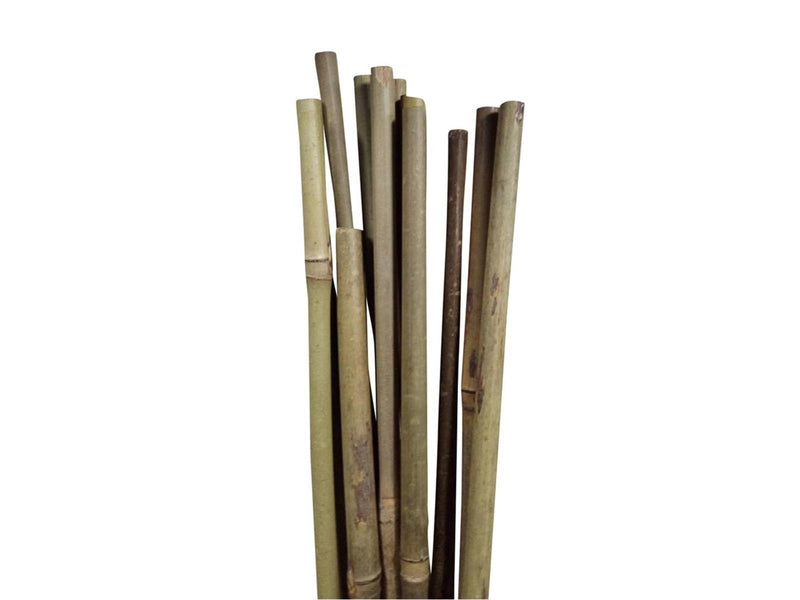 Homeit Bamboo Sticks – Natural Strength for Your Projects - Ø10 mm x 60 cm 4 units.