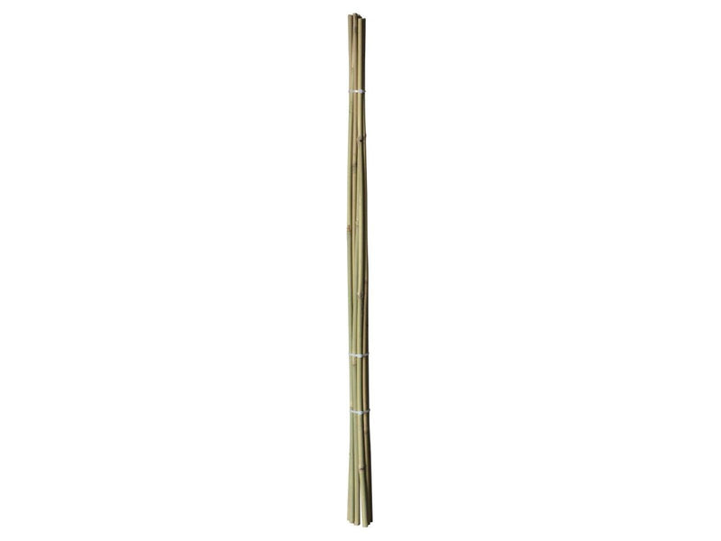 Homeit Bamboo Sticks – Natural Strength for Your Projects - Ø10 mm x 60 cm 4 units.
