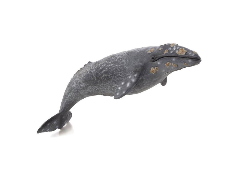 Mojo Sealife - Gray Whale