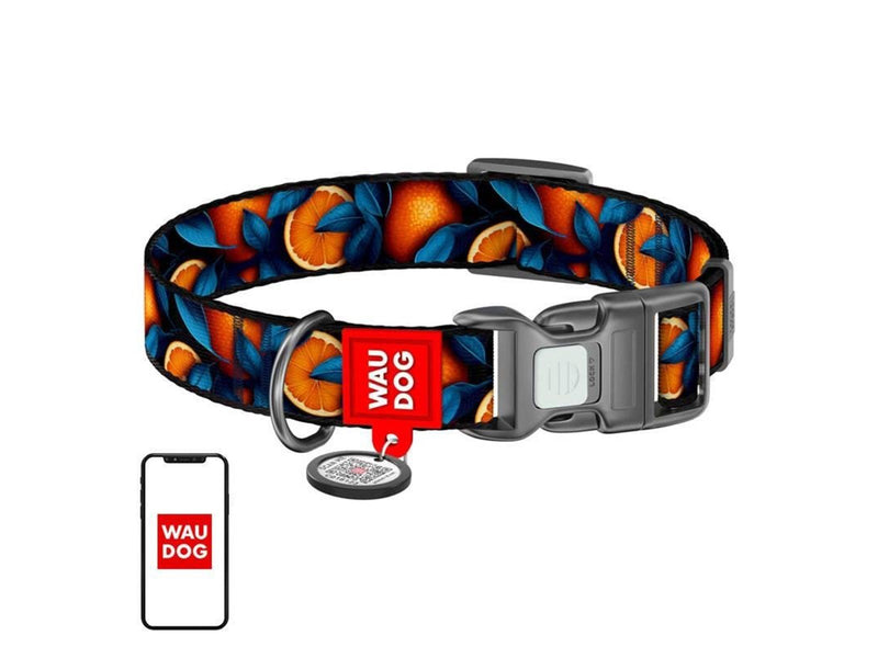Waudog Oranges" nylon dog collar with QR code size L