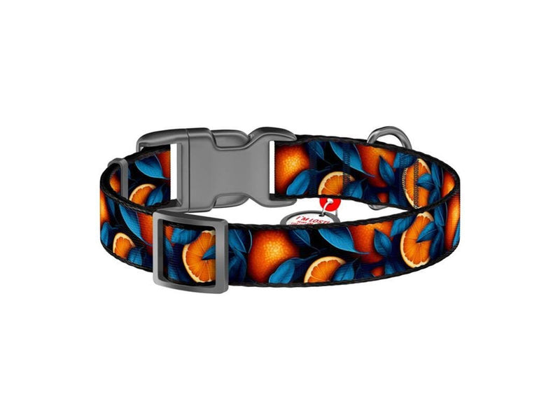 Waudog Oranges" nylon dog collar with QR code size L