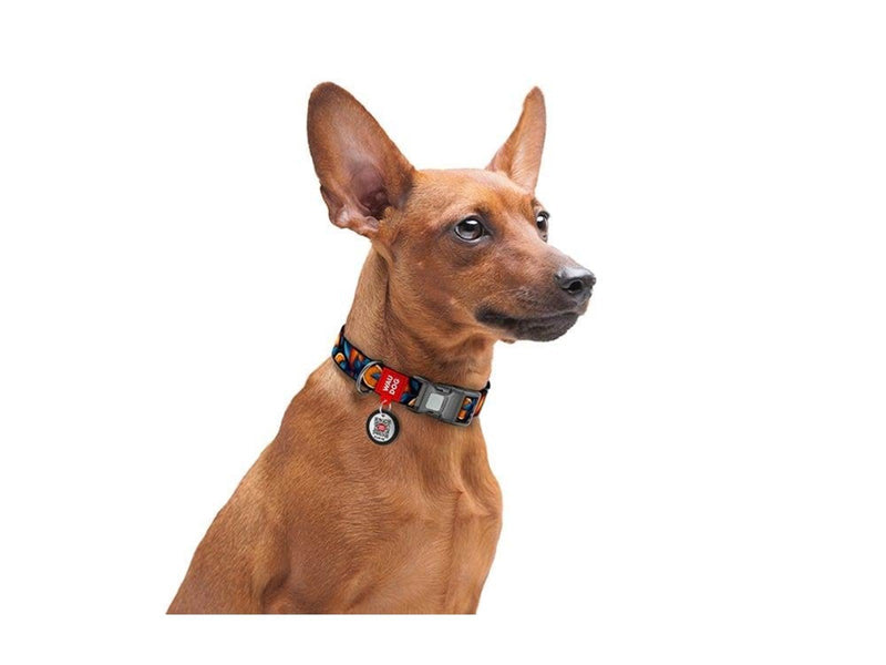 Waudog Oranges" nylon dog collar with QR code size L