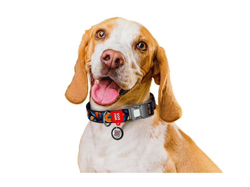Waudog Oranges" nylon dog collar with QR code size L