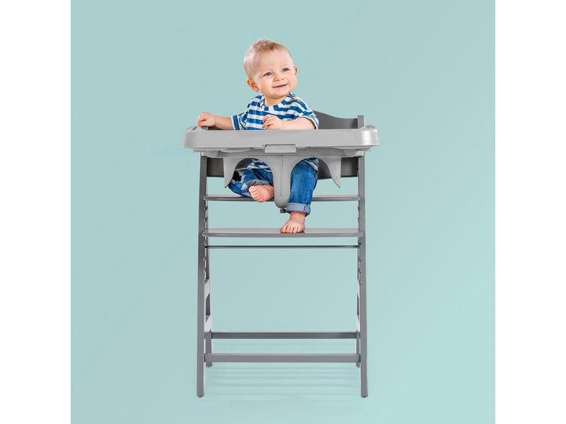 Hauck Alpha Tray