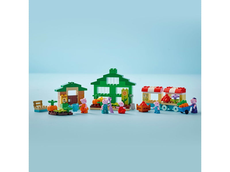 LEGO DUPLO 10461 Opas Garten und Gewächshaus