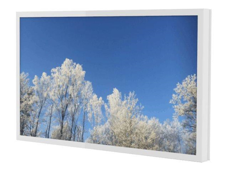 HI-ND Wall Casing PROTECT mounting kit - landscape - for LCD display - white 65"