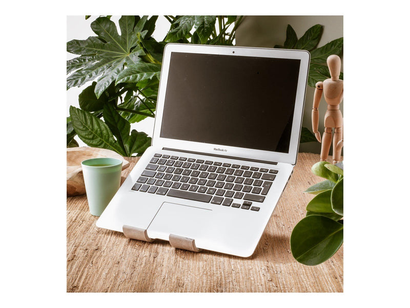 R-Go Tools R-Go Tablet and laptop stand Treepod
