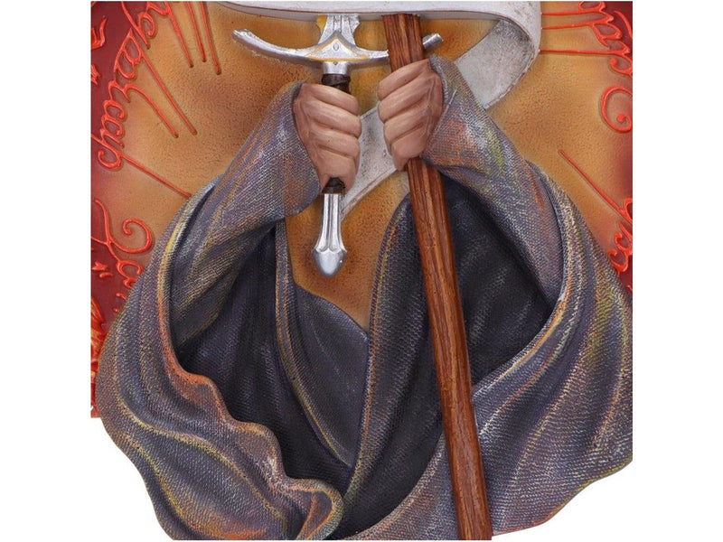 Nemesis Now - Lord of the Rings You Shall Not Pass Wall Plaque