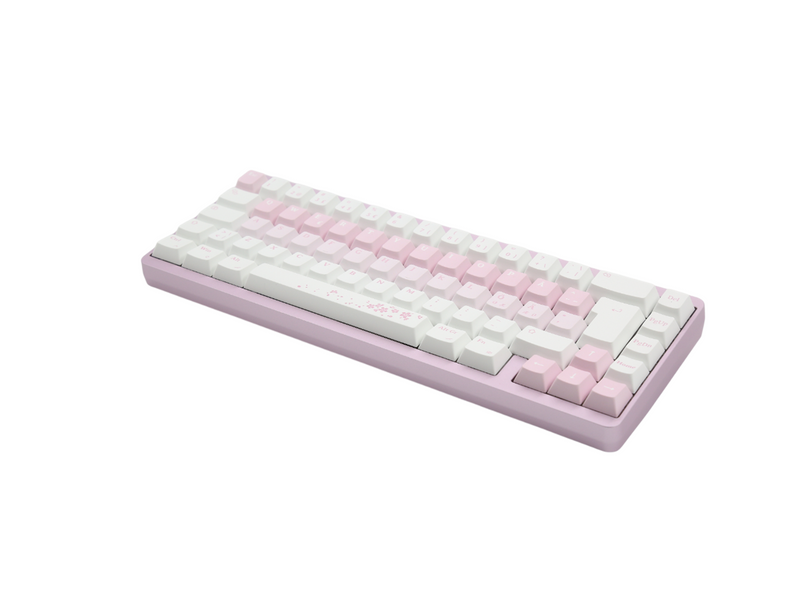 Varmilo Muse65 Hall Effect 65% RGB LED Type - Sakura - Gaming Tastaturen - ohne Numpad - Nordisch - Pink