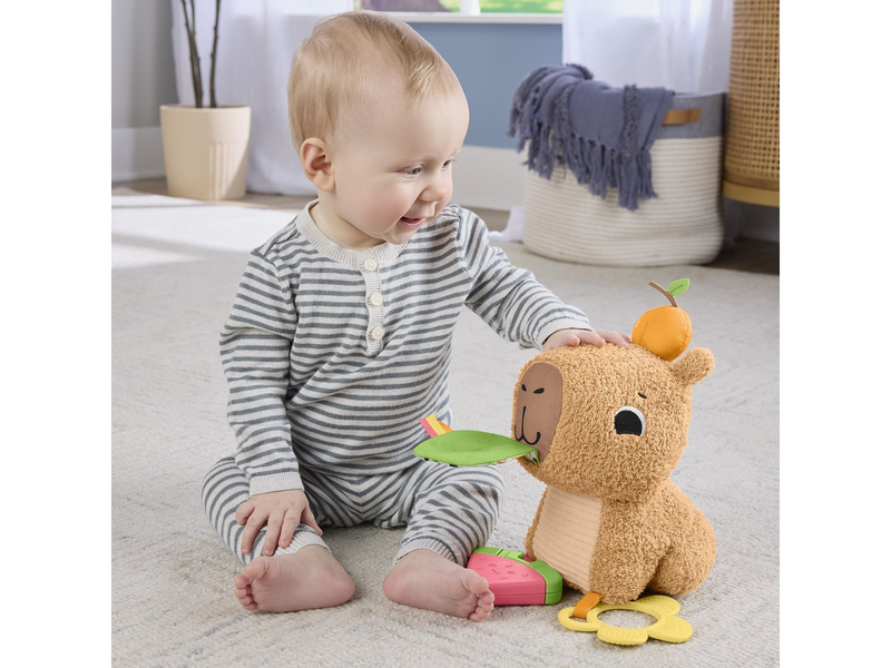 Fisher Price Snuggly Snacky Capy