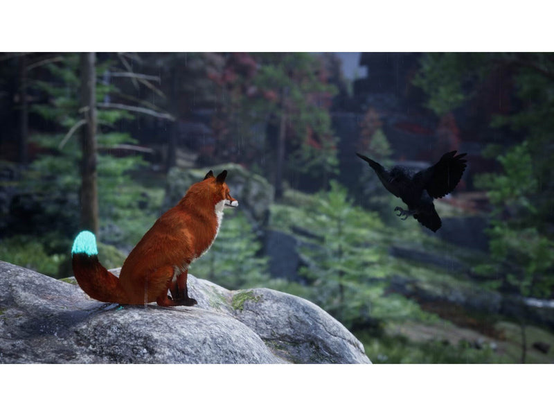 Spirit of the North 2 - Sony PlayStation 5 - Abenteuer - PEGI 12