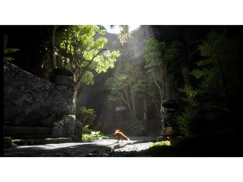 Spirit of the North 2 - Windows - Abenteuer - PEGI 12