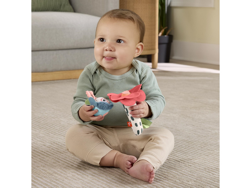 Fisher Price Planet Friends Shake 'n Rattle Busy Bee