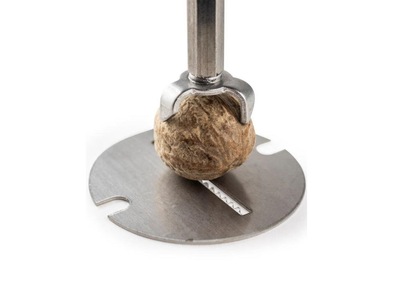 Peugeot Daman nutmeg grinder acrylic/stainless steel 15cm