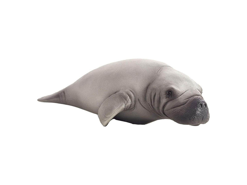 Mojo Sealife Manatee