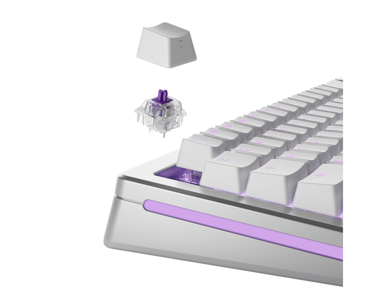 Glorious Mechanical Switches (110pcs) - Mako - Lubed [Tactile] 45g - Schlüsselschalter
