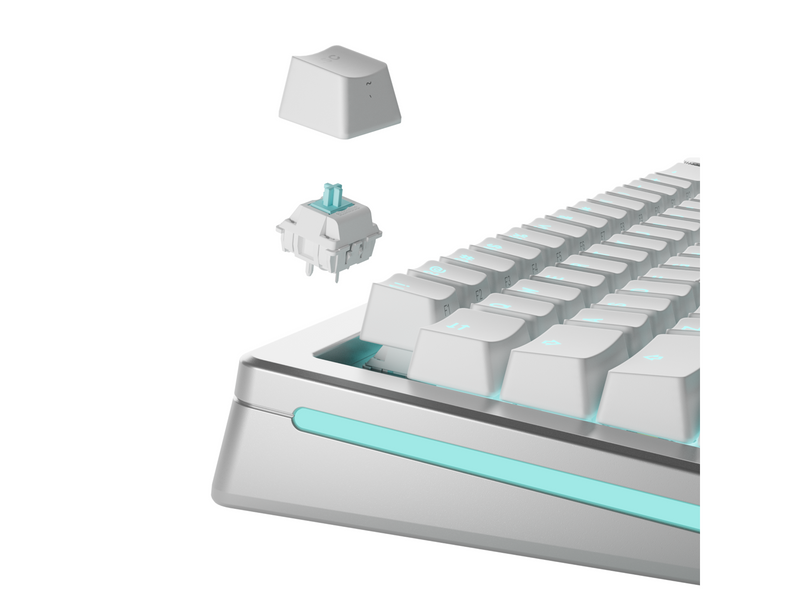 Glorious Mechanical Switches (36pcs) - Lynx - [Linear] 40g - Schlüsselschalter