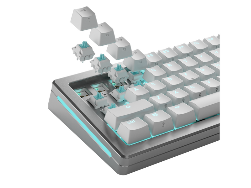 Glorious Mechanical Switches (36pcs) - Lynx - [Linear] 40g - Schlüsselschalter