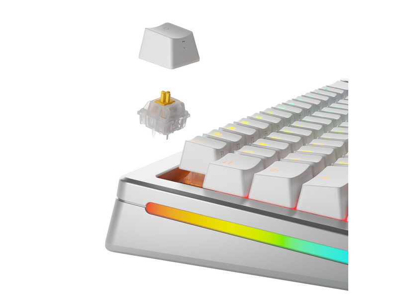 Glorious Mechanical Switches (36pcs) - Panda Silent - [Tactile] 50g - Schlüsselschalter