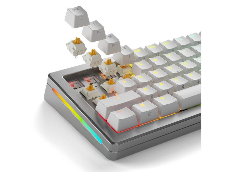 Glorious Mechanical Switches (36pcs) - Panda Silent - [Tactile] 50g - Schlüsselschalter