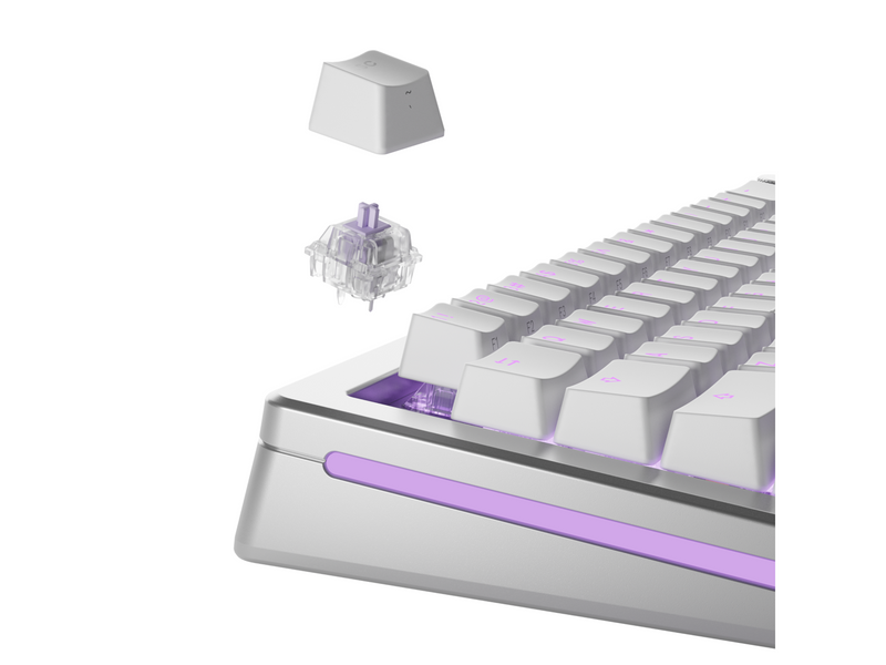 Glorious Mechanical Switches (110pcs) - Mako Ultralight - [Tactile] 40g - Schlüsselschalter