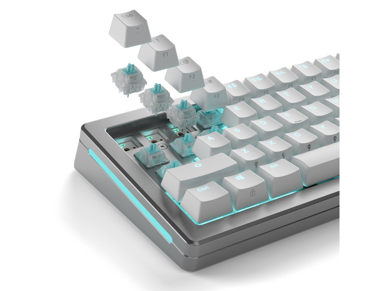 Glorious Mechanical Switches (36pcs) - Lynx Silent - [Linear] 40g - Schlüsselschalter