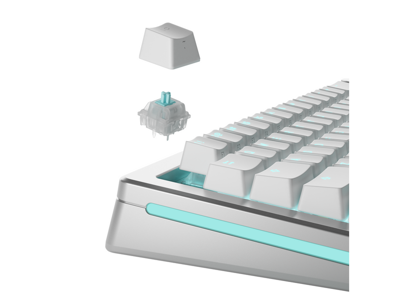 Glorious Mechanical Switches (36pcs) - Lynx Silent - [Linear] 40g - Schlüsselschalter