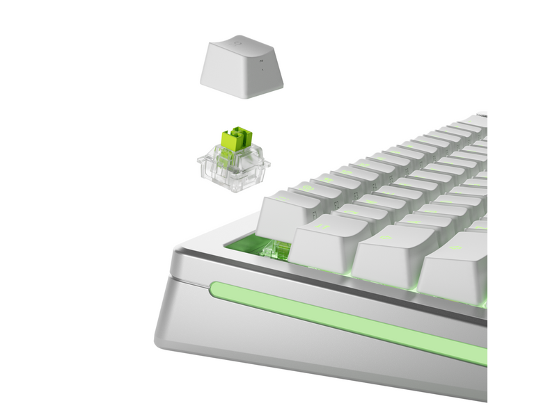 Glorious HE Switches (36pcs) - Raptor - Lubed - [Clicky] 55g - Schlüsselschalter