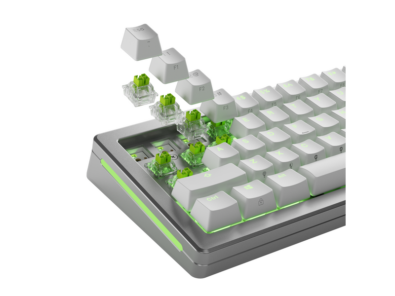 Glorious HE Switches (36pcs) - Raptor - Lubed - [Clicky] 55g - Schlüsselschalter