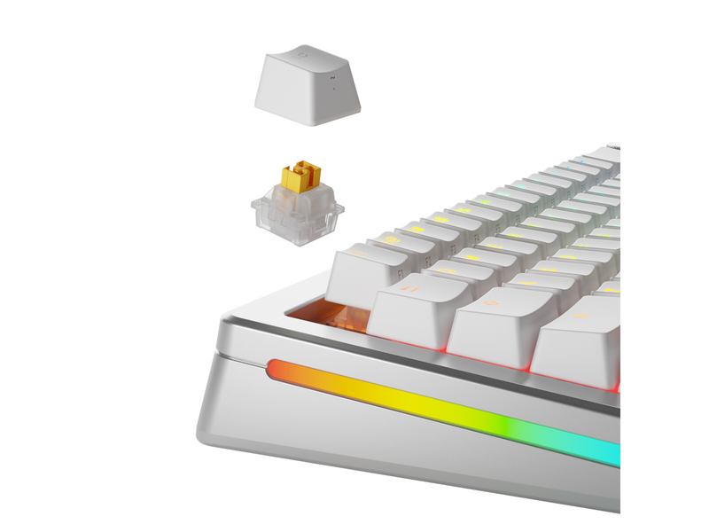 Glorious HE Switches (36pcs) - Panda - Silent - [Tactile] 45g