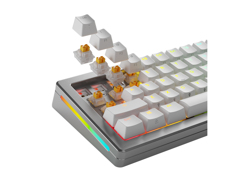 Glorious HE Switches (36pcs) - Panda - Silent - [Tactile] 45g