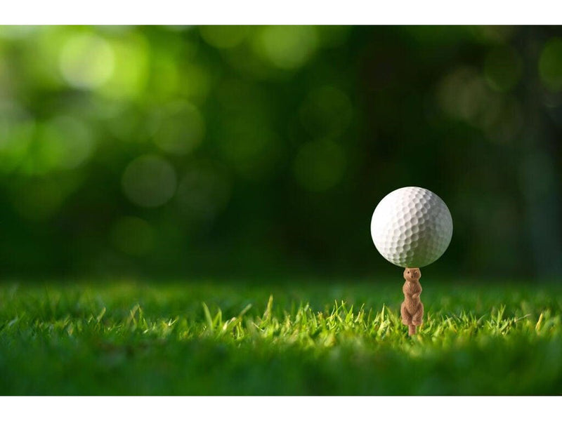 Gopher Golf Tee S - 6 pcs