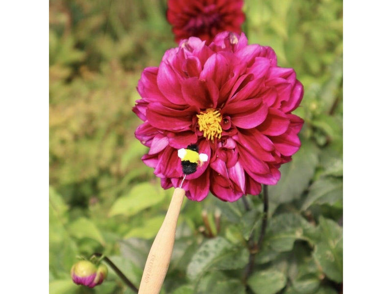 Kikkerland - Pollination Wand