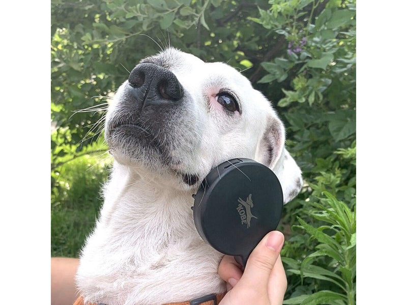 Kikkerland - Dog Spa Kit (DIG26)