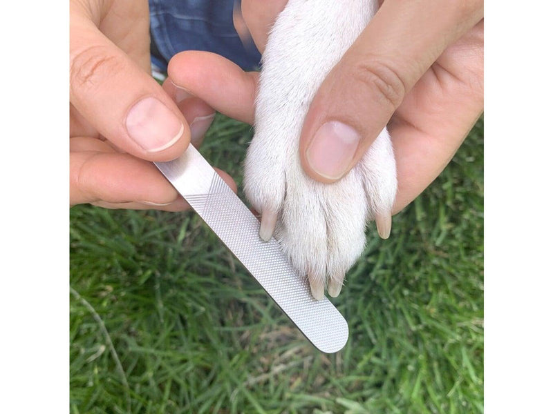 Kikkerland - Dog Spa Kit (DIG26)