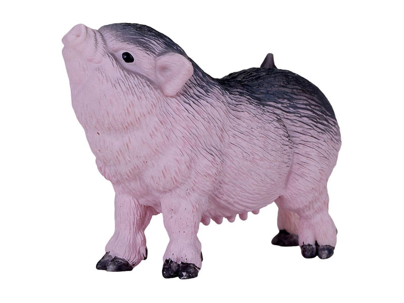 Mojo - Farmland Pot-bellied Piglet