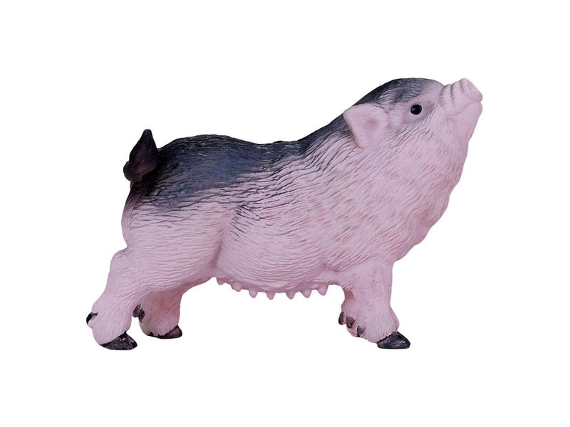 Mojo - Farmland Pot-bellied Piglet